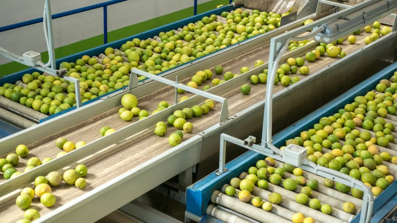 สายพานลำเลียงในกระบวนการผลิต